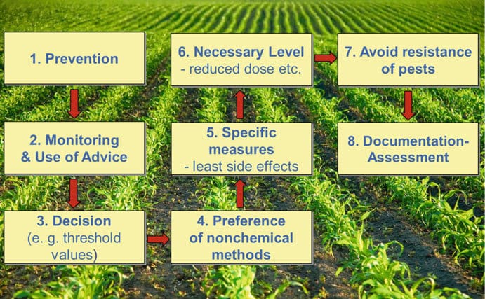 Advantages Of Pest Resistance In Modern Agriculture Advantages Of Pest Resistance In Modern Agriculture