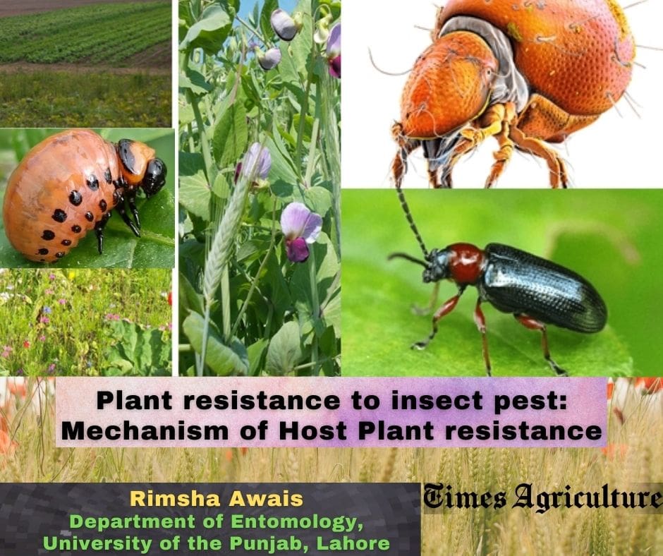 Advantages Of Pest Resistance In Modern Agriculture Advantages Of Pest Resistance In Modern Agriculture