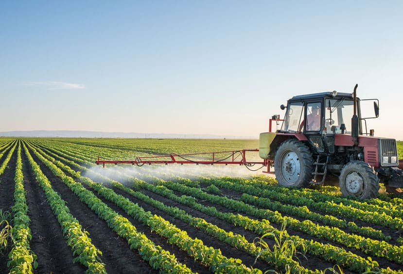 Advantages Of Pest Resistance In Modern Agriculture Advantages Of Pest Resistance In Modern Agriculture