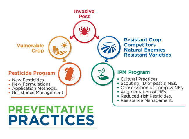 Advantages Of Pest Resistance In Modern Agriculture Advantages Of Pest Resistance In Modern Agriculture