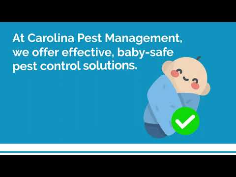 After Pest Control: Safety Tips For Bringing A Baby Home After Pest Control: Safety Tips For Bringing A Baby Home