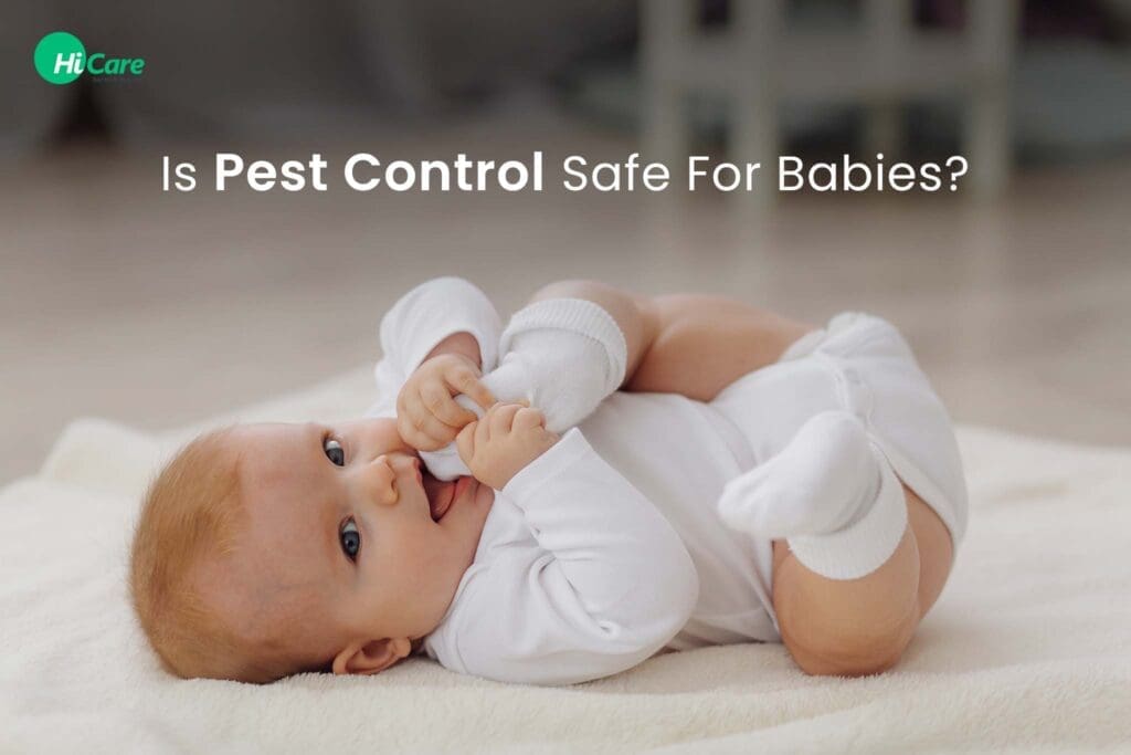 After Pest Control: Safety Tips For Bringing A Baby Home After Pest Control: Safety Tips For Bringing A Baby Home