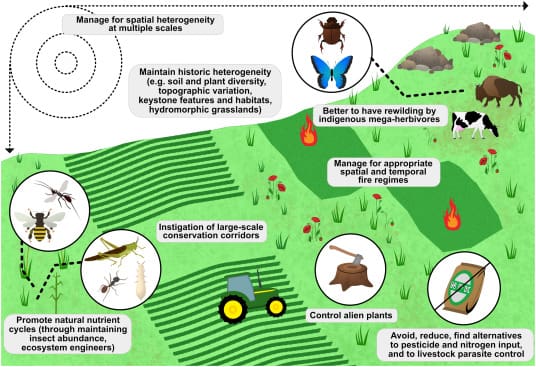 Aquatic Pests: Challenges And Solutions