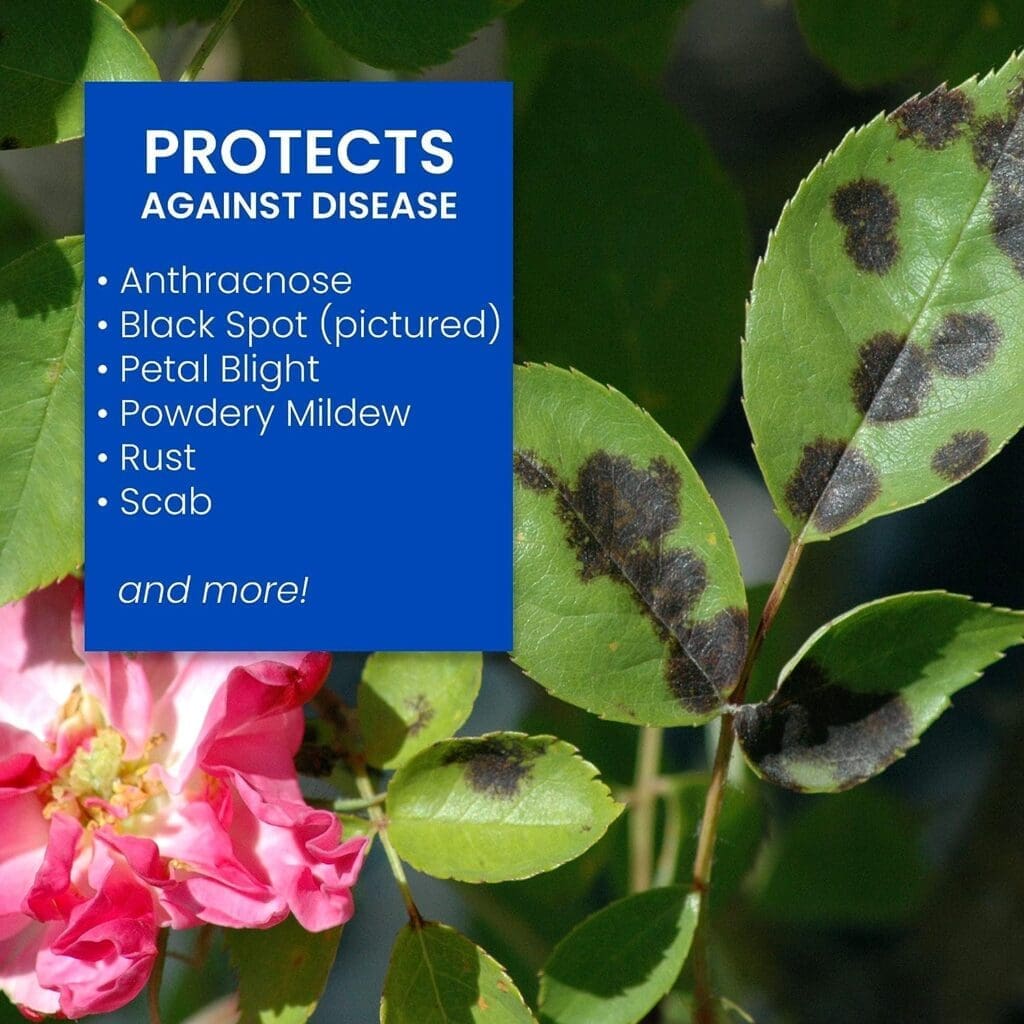 BioAdvanced 3-in-1 Insect Disease and Mite Control I, Ready-to-Spray, 32 oz, (Packaging may vary) BioAdvanced 3-in-1 Insect Disease and Mite Control I, Ready-to-Spray, 32 oz, (Packaging may vary)