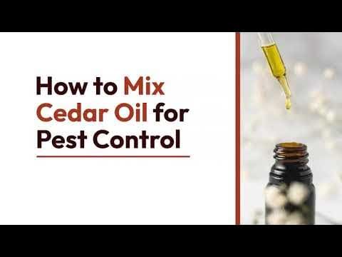 Cedar Oil For Pest Control: Mixing And Application Guide Cedar Oil For Pest Control: Mixing And Application Guide