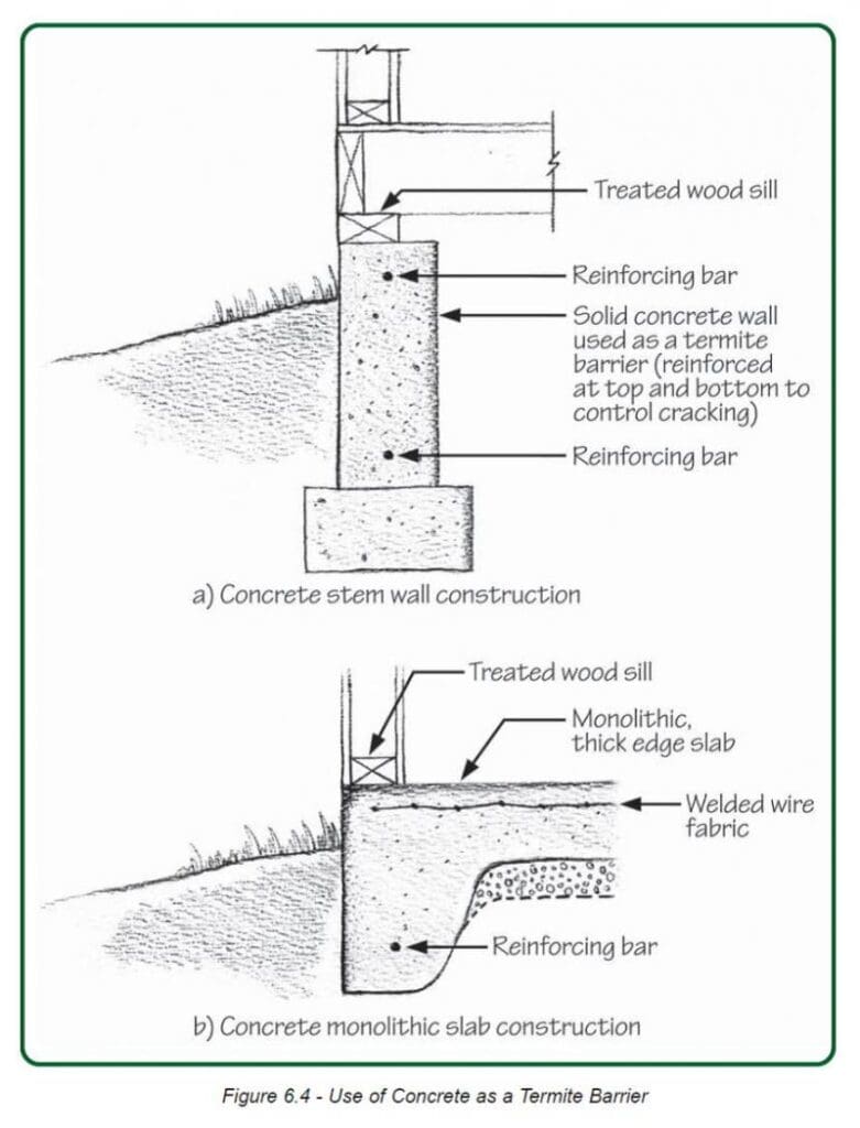 Cracks Decaying Masonry: How To Prevent Pest Access Cracks Decaying Masonry: How To Prevent Pest Access