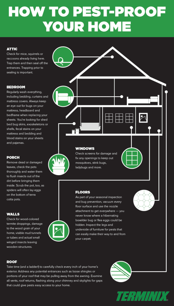 DIY Pest Control: How To Safely Manage Pests At Home