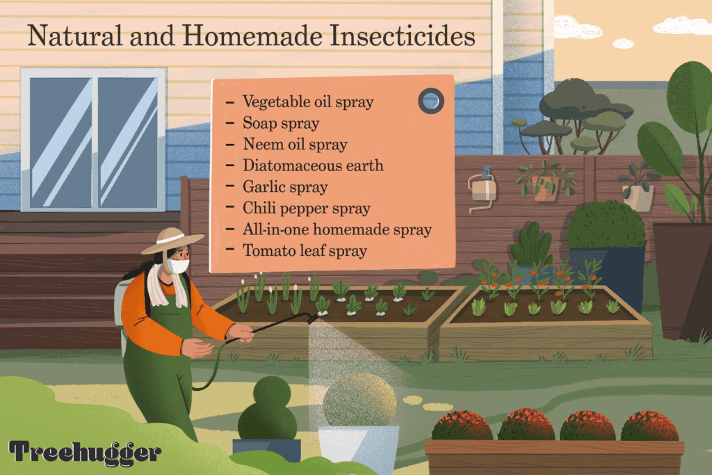DIY Pest Control: How To Safely Manage Pests At Home