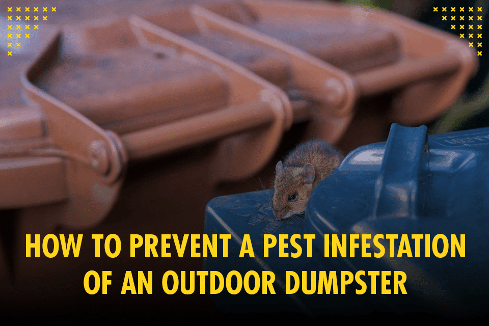 Dumpster Defense: Preventing Pest Infestations Outdoors Dumpster Defense: Preventing Pest Infestations Outdoors