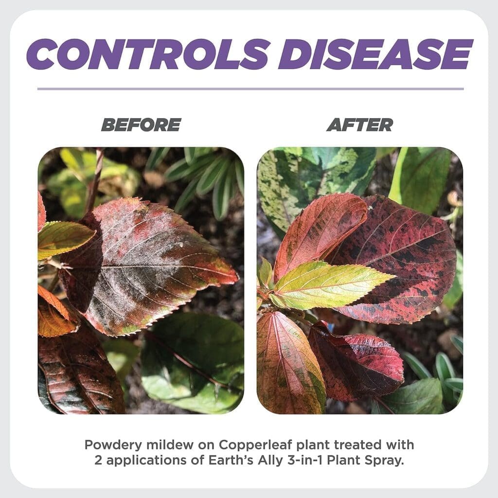 Earths Ally 3-in-1 Plant Spray | Insecticide, Fungicide Spider Mite Control, Use on Indoor Houseplants and Outdoor Plants, Gardens Trees - Insect Pest Repellent Antifungal Treatment, 24oz Earths Ally 3-in-1 Plant Spray | Insecticide, Fungicide Spider Mite Control, Use on Indoor Houseplants and Outdoor Plants, Gardens Trees - Insect Pest Repellent Antifungal Treatment, 24oz