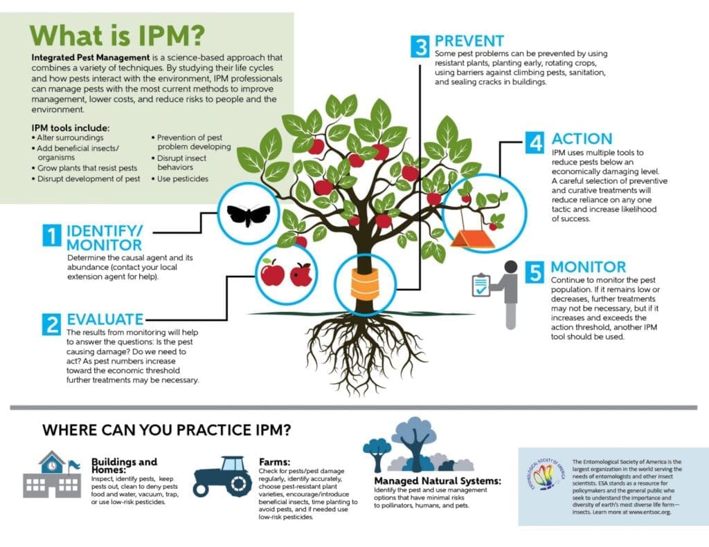 Integrated Pest Management: A Sustainable Approach