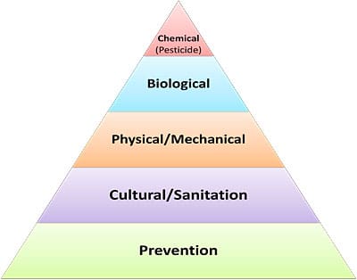 Integrated Pest Management: A Sustainable Approach