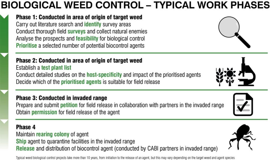 Invasive Pests: How To Identify And Control Them