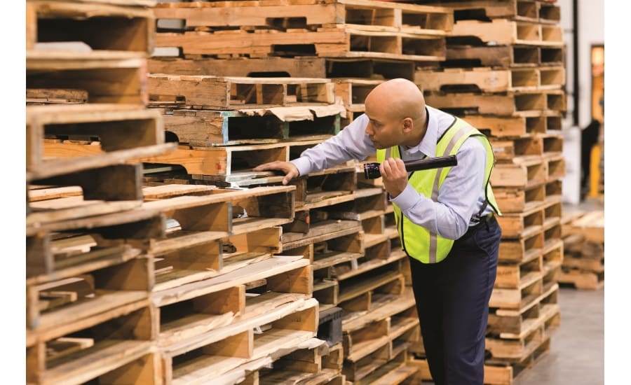 Keeping Operations Pest-Free: Proven Strategies