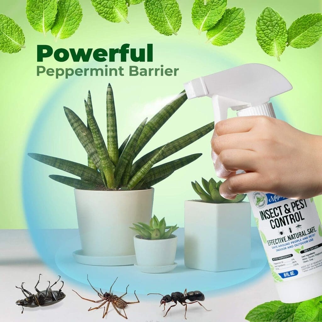 Mighty Mint 8oz Insect and Pest Control Peppermint Oil - Natural Spray for Spiders, Ants, and More (2)