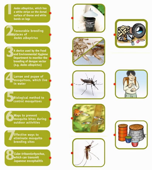 Mosquito Management: Prevention And Treatment Techniques Mosquito Management: Prevention And Treatment Techniques