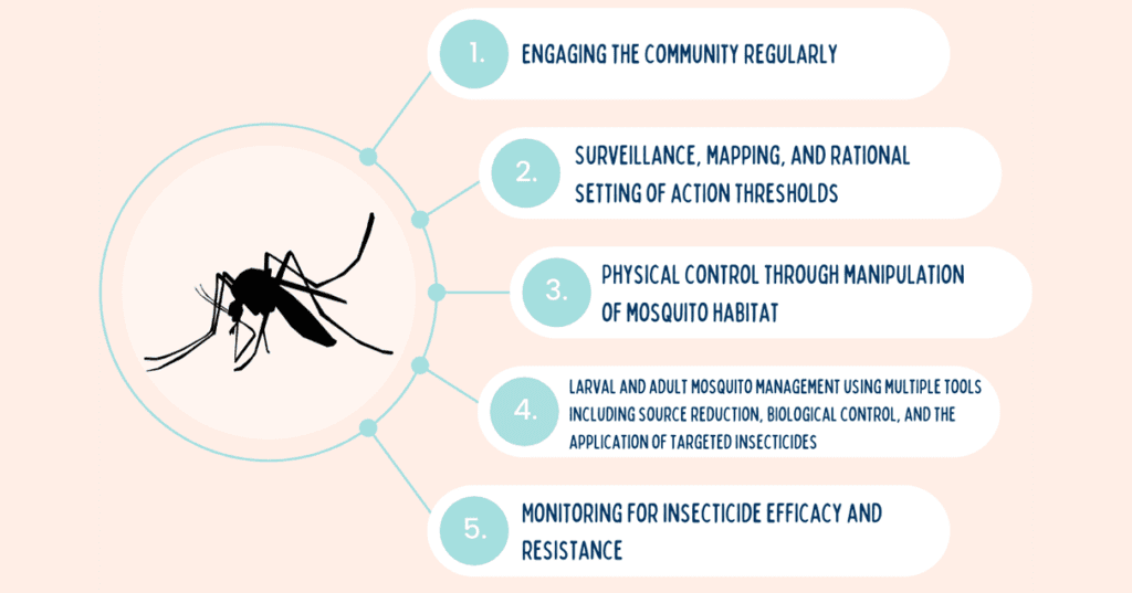 Mosquito Management: Prevention And Treatment Techniques Mosquito Management: Prevention And Treatment Techniques