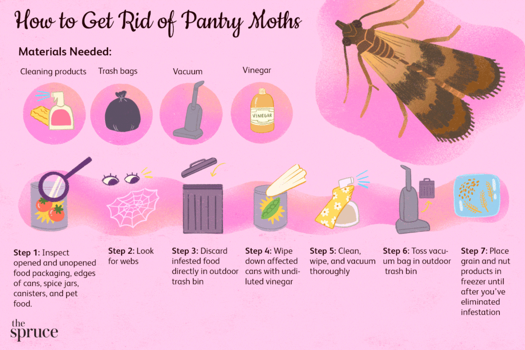 Moths In The Pantry: Prevention And Natural Control Moths In The Pantry: Prevention And Natural Control