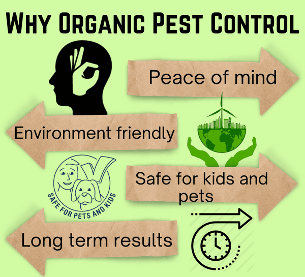 Organic Pest Control: Benefits And Best Practices Organic Pest Control: Benefits And Best Practices