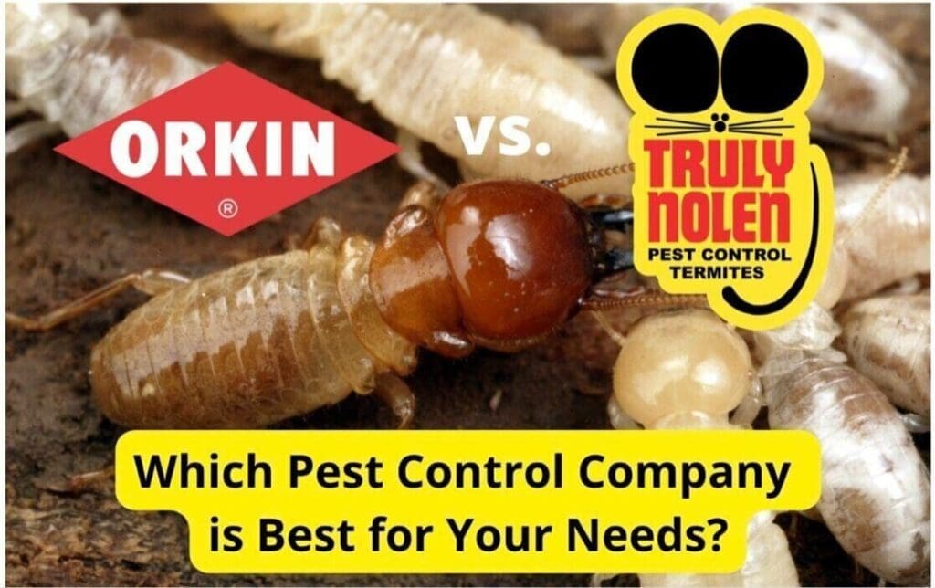 Orkin Vs. Local Pest Control: Cost And Effectiveness Compared Orkin Vs. Local Pest Control: Cost And Effectiveness Compared