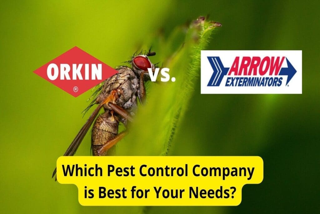 Orkin Vs. Local Pest Control: Cost And Effectiveness Compared Orkin Vs. Local Pest Control: Cost And Effectiveness Compared