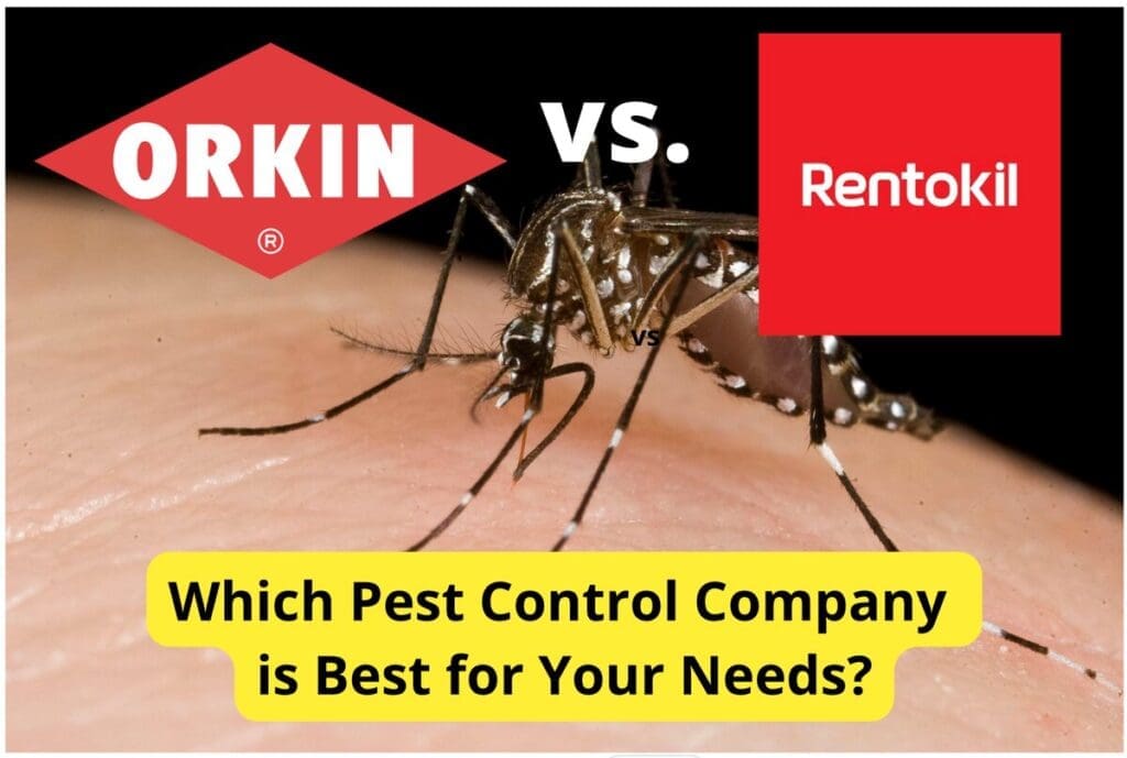 Orkin Vs. Local Pest Control: Cost And Effectiveness Compared Orkin Vs. Local Pest Control: Cost And Effectiveness Compared