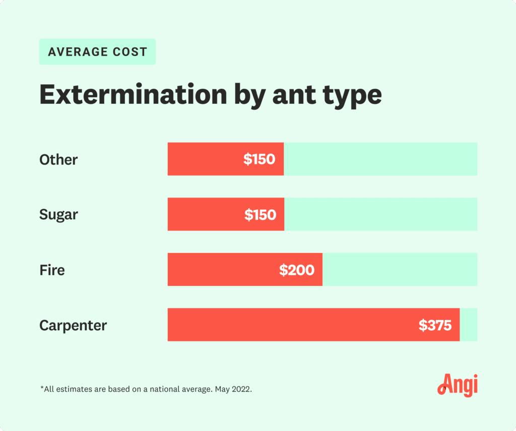 Pest Control For Ants: Costs, Methods, And Prevention Tips Pest Control For Ants: Costs, Methods, And Prevention Tips
