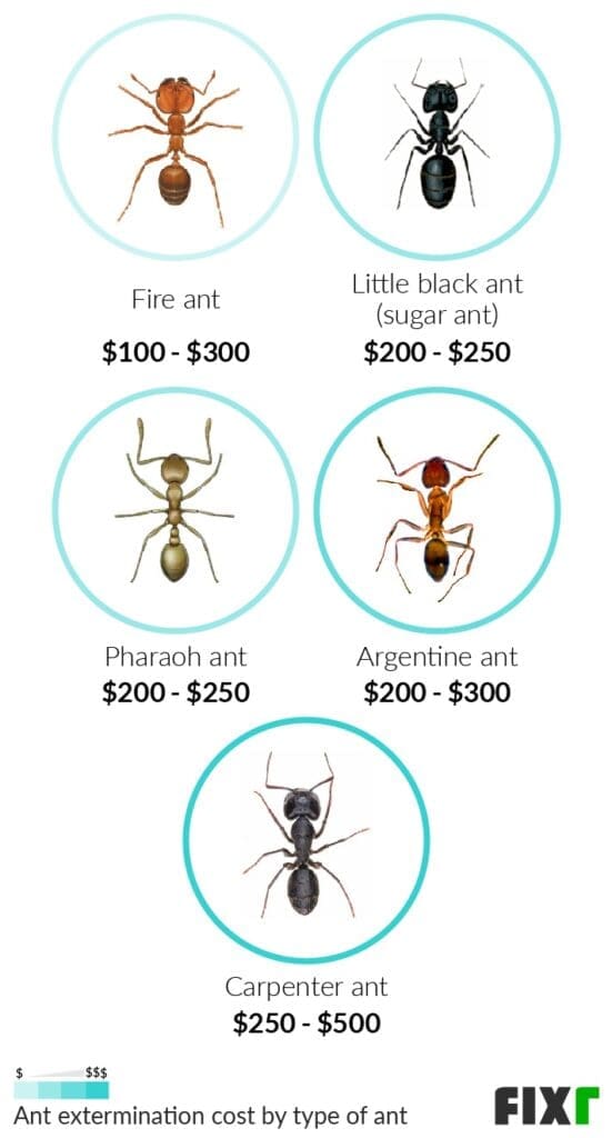 Pest Control For Ants: Costs, Methods, And Prevention Tips Pest Control For Ants: Costs, Methods, And Prevention Tips