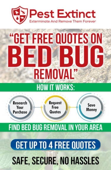 Pest Control For Bed Bugs: Costs, Signs, And Treatment Methods Pest Control For Bed Bugs: Costs, Signs, And Treatment Methods