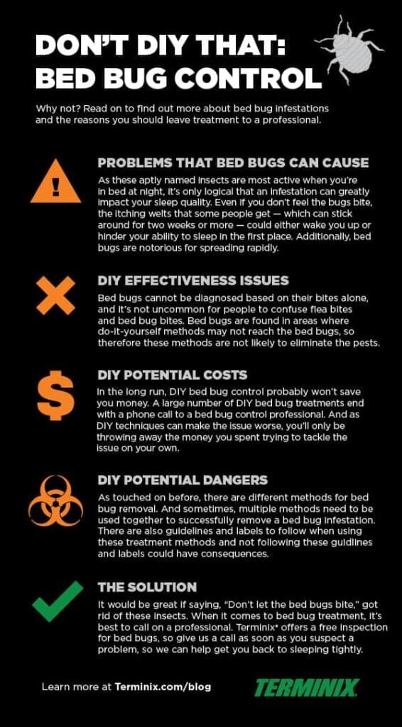 Pest Control For Bed Bugs: Costs, Signs, And Treatment Methods Pest Control For Bed Bugs: Costs, Signs, And Treatment Methods