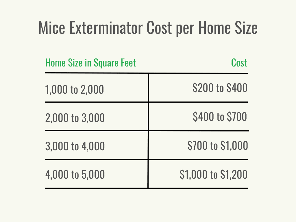 Pest Control For Mice: Costs, Methods, And Tips Pest Control For Mice: Costs, Methods, And Tips