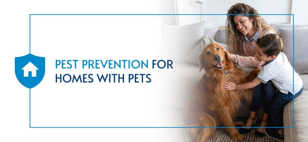 Pest Control For Pet Owners Pest Control For Pet Owners