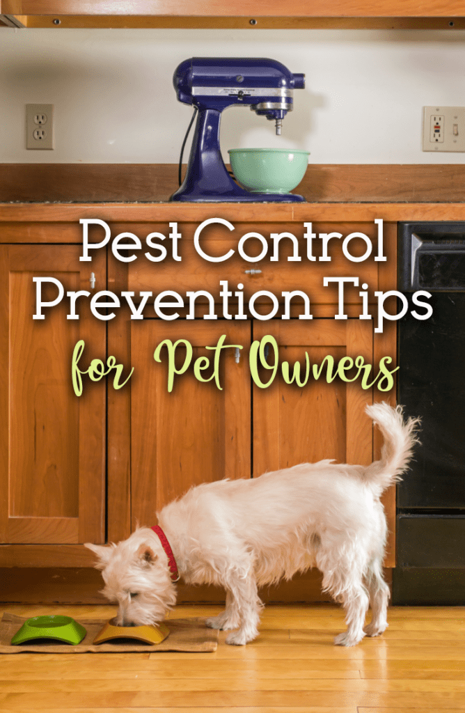 Pest Control For Pet Owners Pest Control For Pet Owners