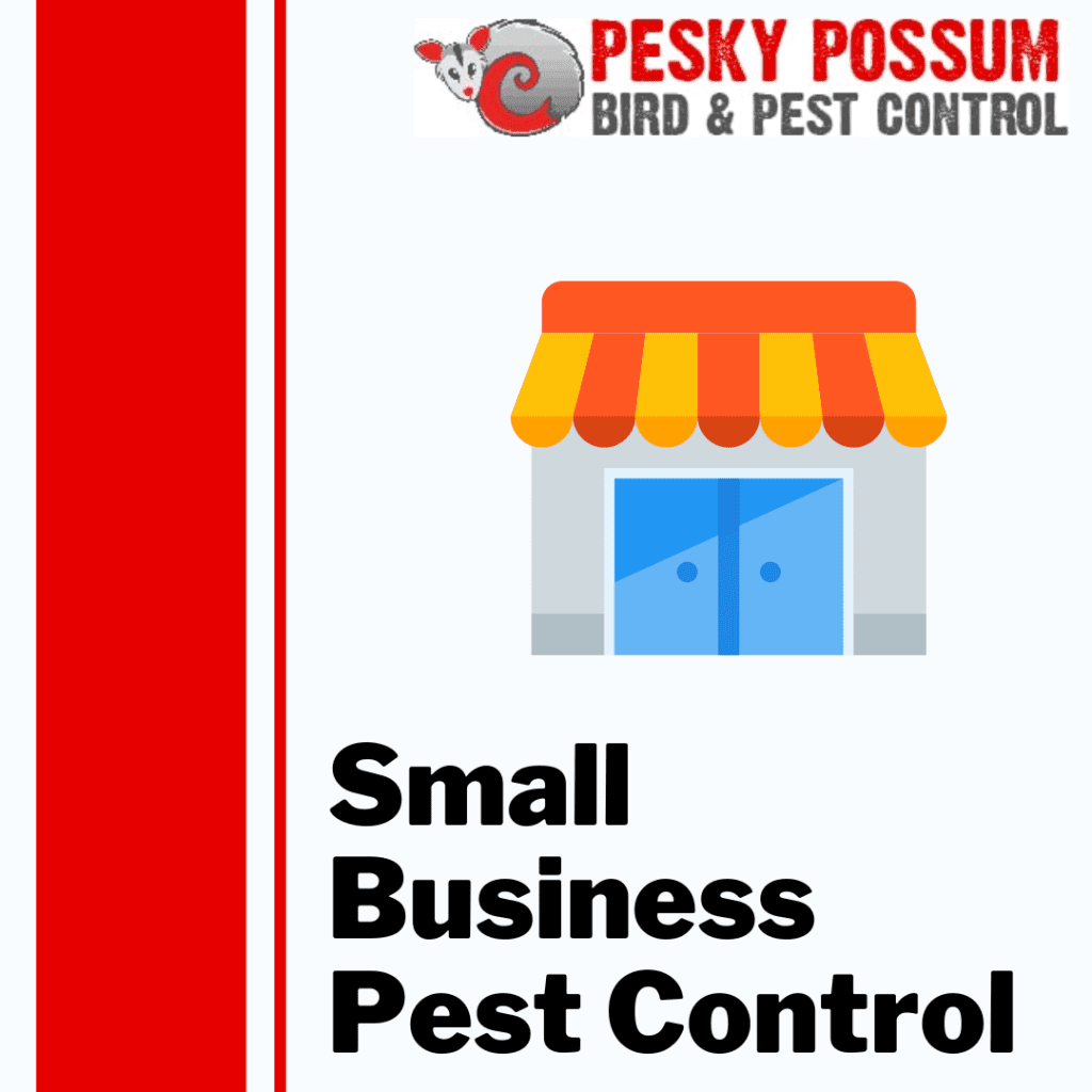 Pest Control For Small Businesses Pest Control For Small Businesses