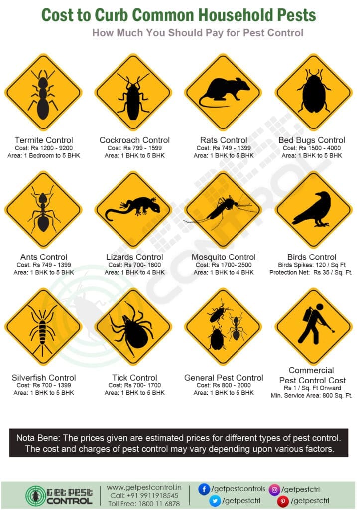 Pest Control For Termites: Costs, Signs, And Treatment Methods Pest Control For Termites: Costs, Signs, And Treatment Methods