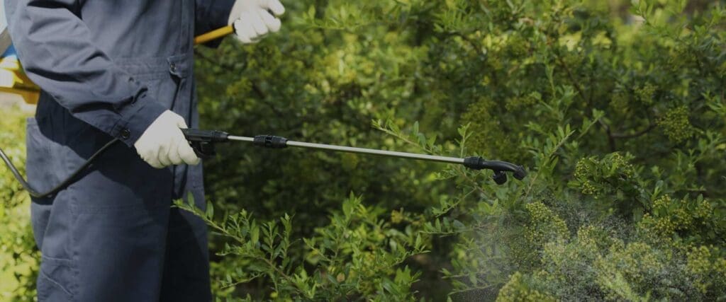 Pest Control For The Elderly: Special Considerations Pest Control For The Elderly: Special Considerations