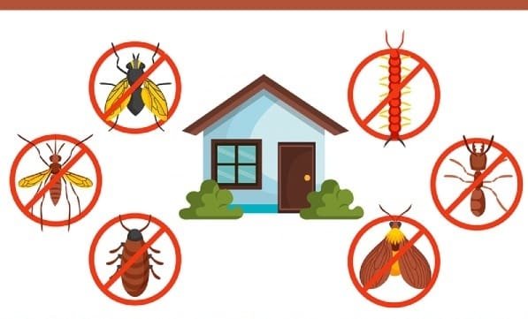Pest Control For The Elderly: Special Considerations Pest Control For The Elderly: Special Considerations