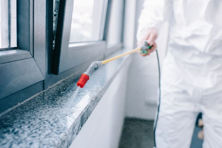 Pest Control For The Elderly: Special Considerations Pest Control For The Elderly: Special Considerations
