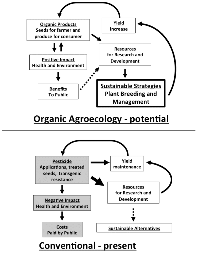 Pest Control In Agricultural Supply Chains Pest Control In Agricultural Supply Chains