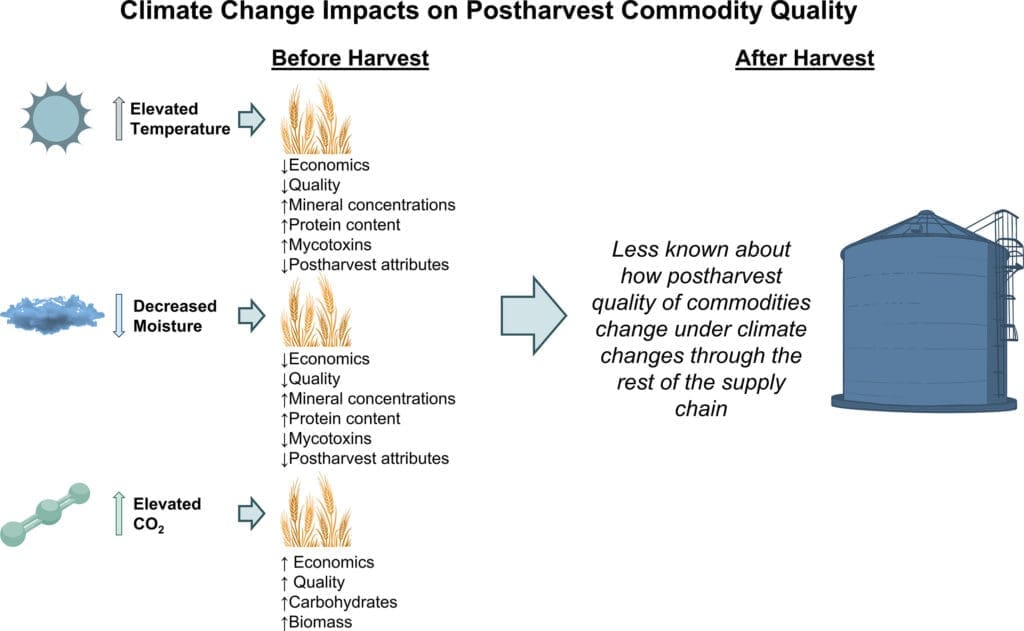 Pest Control In Agricultural Supply Chains Pest Control In Agricultural Supply Chains