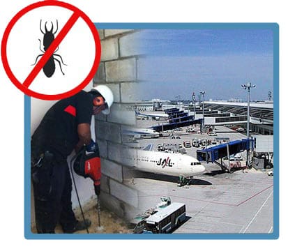 Pest Control In Airports Pest Control In Airports