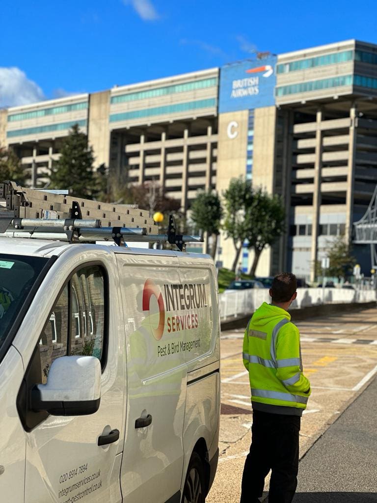 Pest Control In Airports Pest Control In Airports