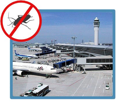 Pest Control In Airports Pest Control In Airports