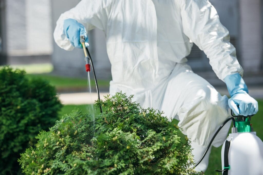 Pest Control In Apartments: Chemicals, Safety, And Rights Pest Control In Apartments: Chemicals, Safety, And Rights