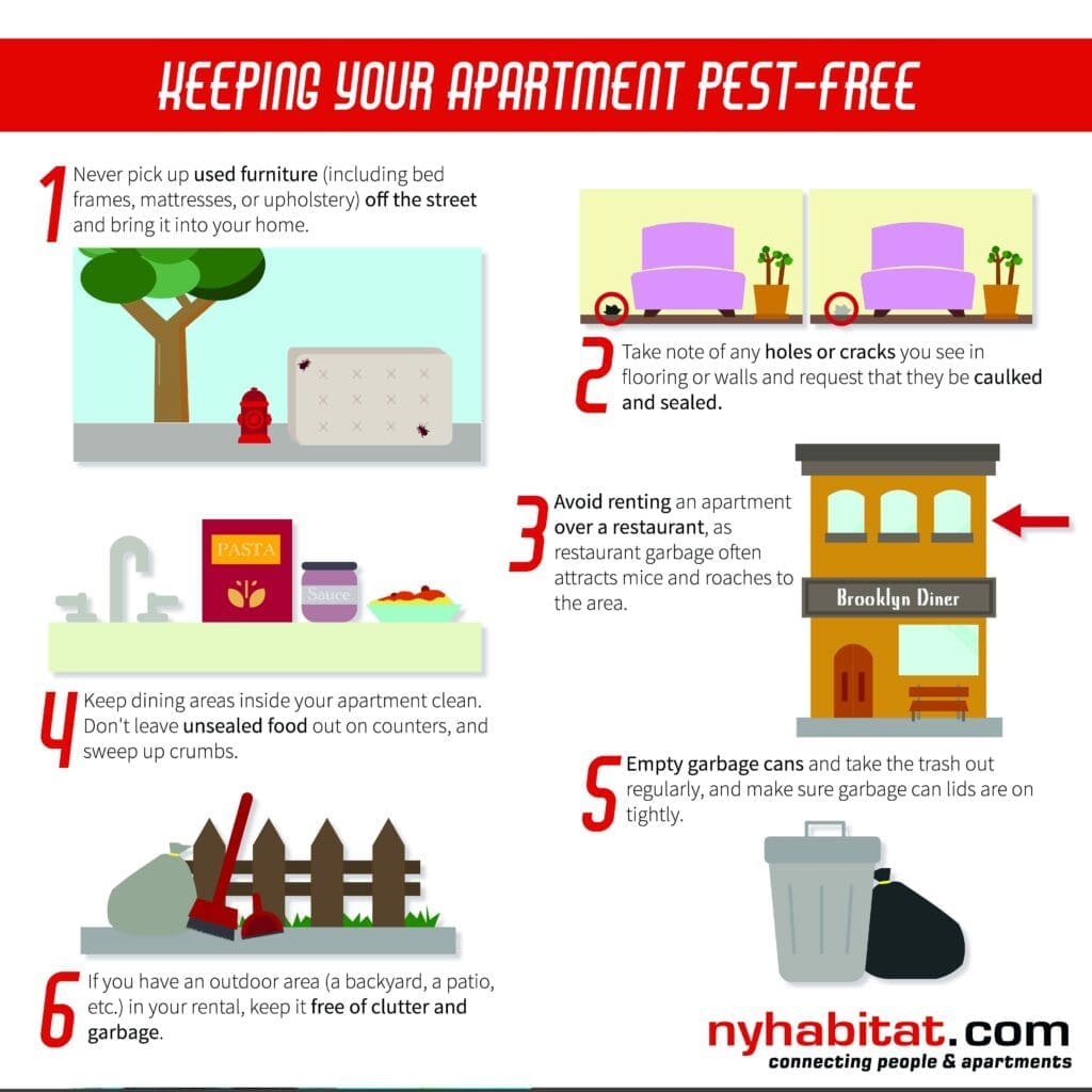Pest Control In Apartments: What To Expect And How To Prepare Pest Control In Apartments: What To Expect And How To Prepare
