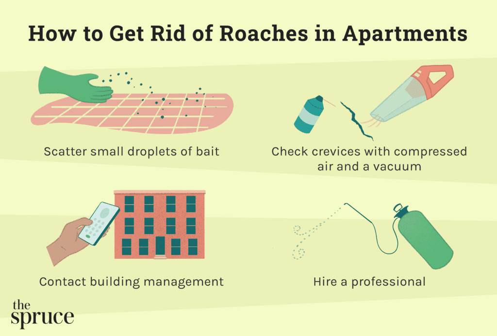 Pest Control In Apartments: What To Expect And How To Prepare Pest Control In Apartments: What To Expect And How To Prepare