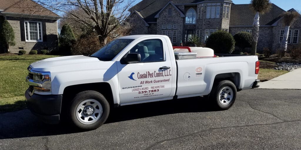Pest Control In Coastal Areas Pest Control In Coastal Areas