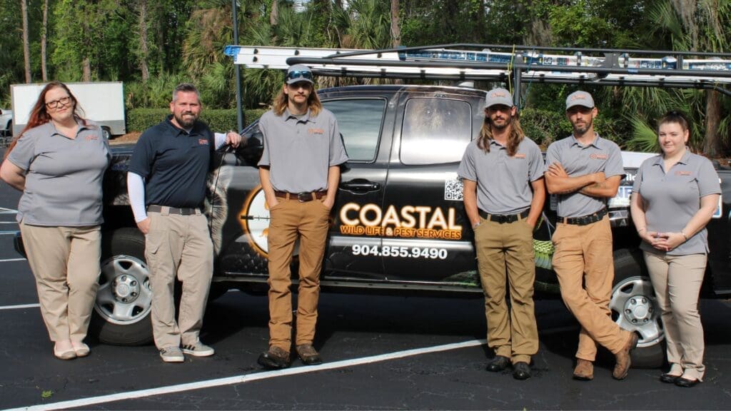 Pest Control In Coastal Areas Pest Control In Coastal Areas