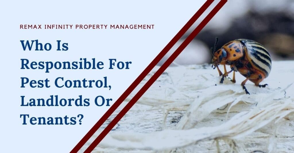 Pest Control In Commercial Properties: Whos Responsible? Pest Control In Commercial Properties: Whos Responsible?