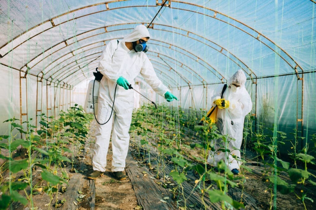 Pest Control In Greenhouses Pest Control In Greenhouses